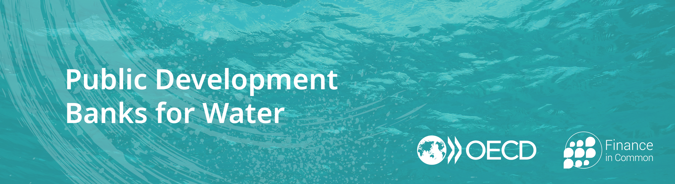 Public Development Banks for Water – OECD Survey